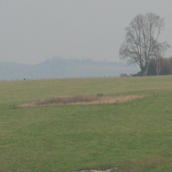 Stonehenge  IMG_0409.JPG