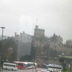 Windsor  IMG_0487.JPG