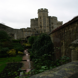 Windsor  IMG_0500.JPG