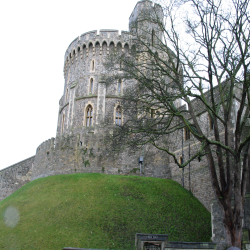 Windsor  IMG_0511.JPG