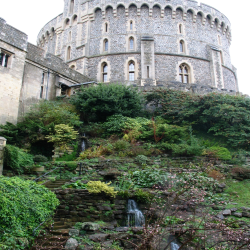 Windsor  IMG_0513.JPG