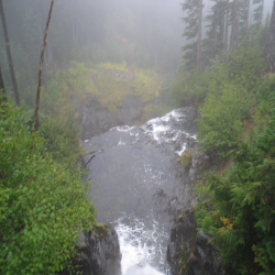 MtRainier  IMG_3461.JPG