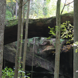 Naturalbridge  IMG_2048.JPG