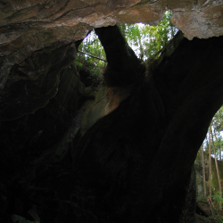 Naturalbridge  IMG_2052.JPG